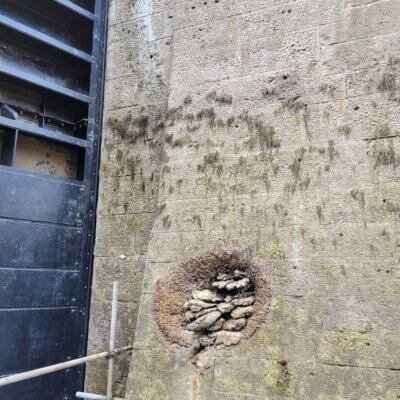 A look inside a canal lock at Cullochy - 279182013 10159638650373536 4586758052341325501 n