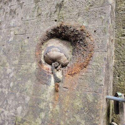 A look inside a canal lock at Cullochy - 279347523 10159638650718536 529872012083256113 n