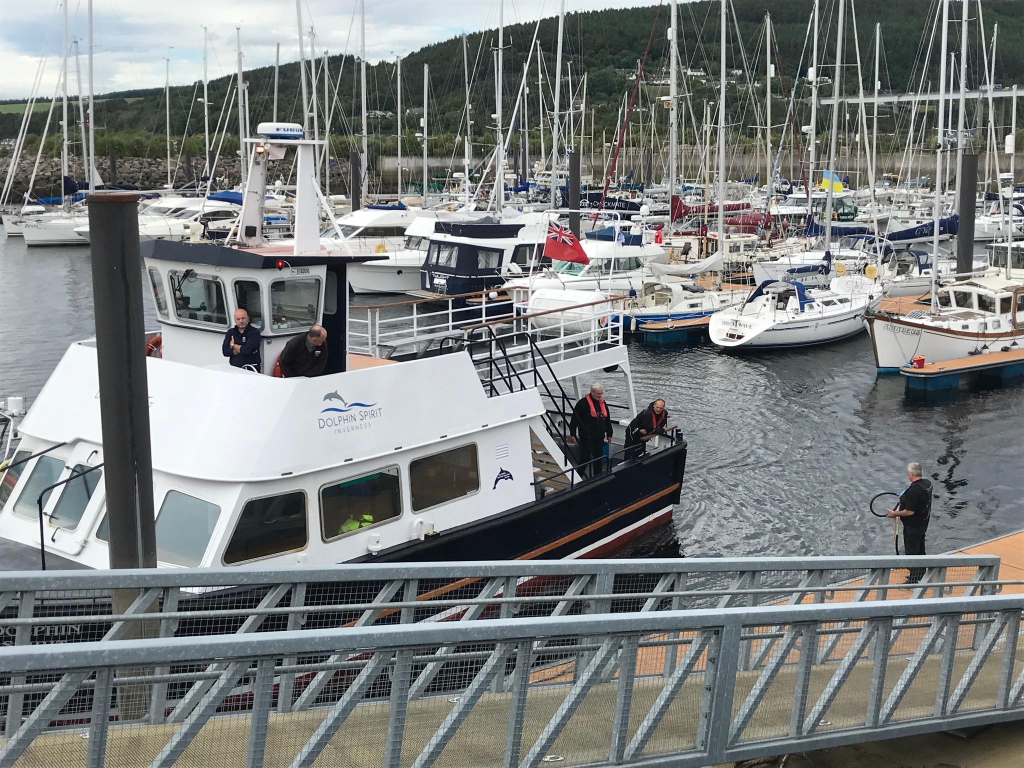 Boat Master Qualification Passed - DS