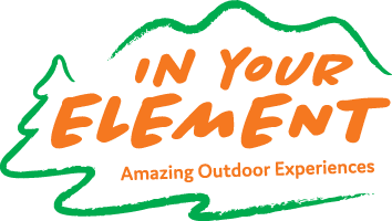In Your Element - iye logo 354x200 2024