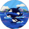 Audrey Field Avatar